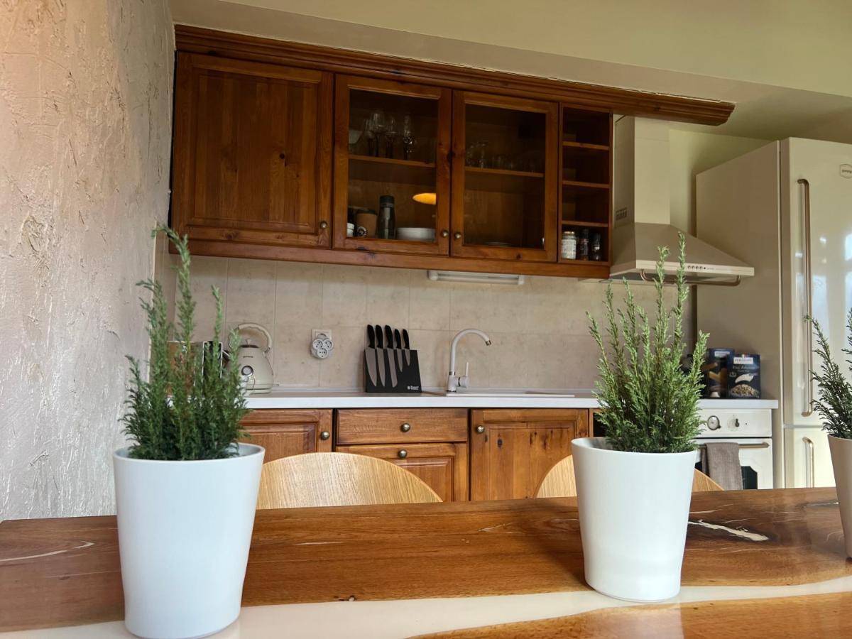 Katarino Spa Chalet 라즐로그 외부 사진