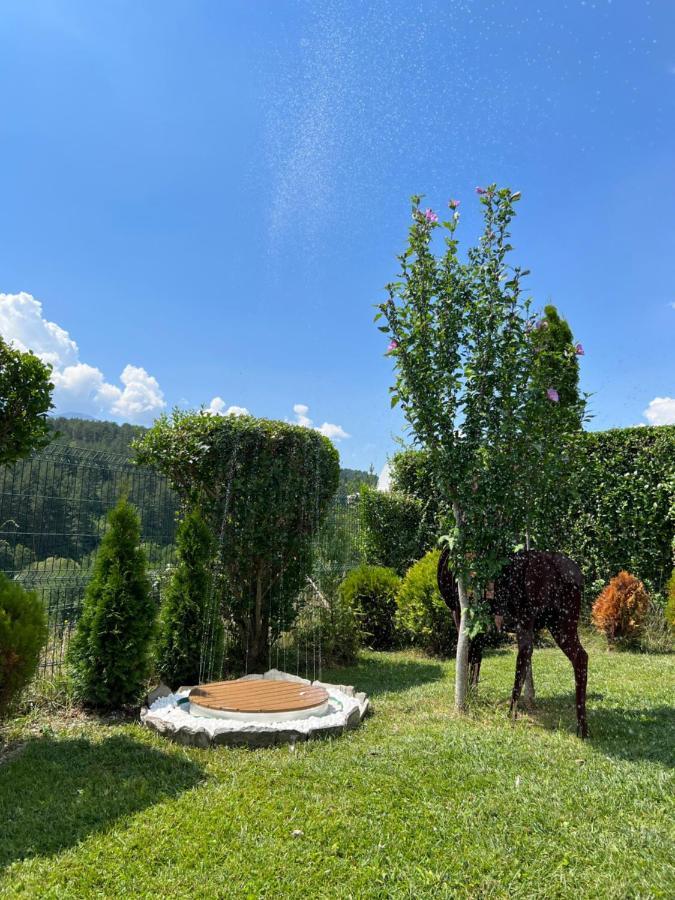 Katarino Spa Chalet 라즐로그 외부 사진